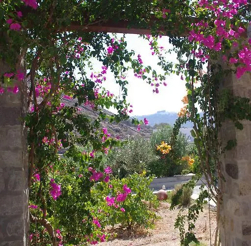 Patmos Netia Апартаменты Скала