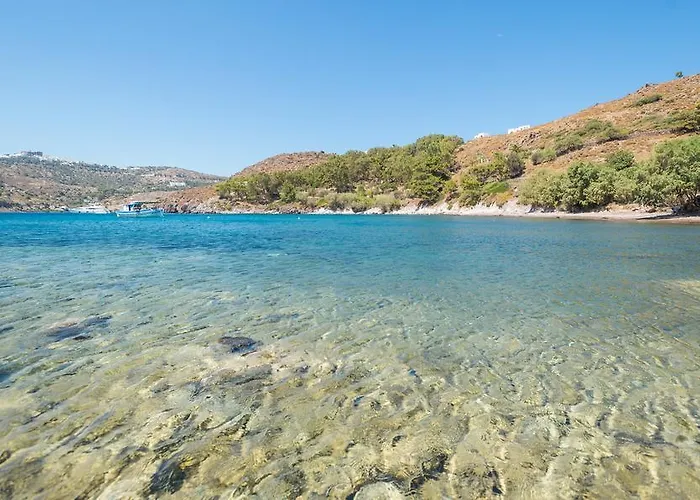 Апартаменты Patmos Netia *