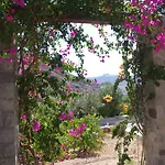 Patmos Netia Apartman Szkála