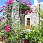 Patmos Netia