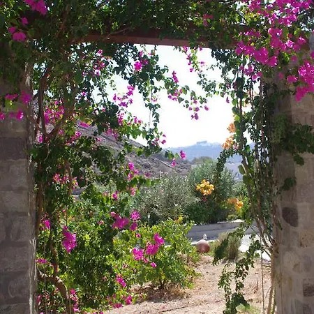 Patmos Netia شقة سكالا