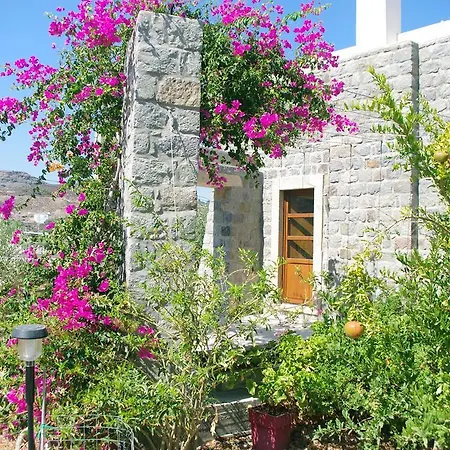 Patmos Netia