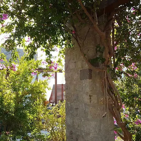 Patmos Netia