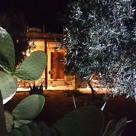 Patmos Netia
