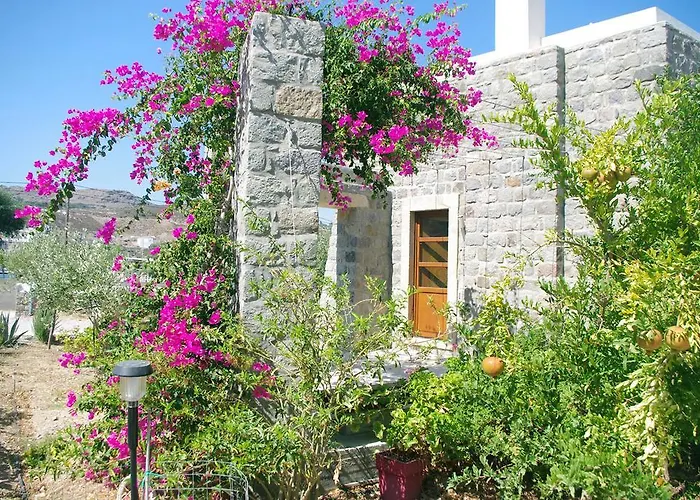 Patmos Netia