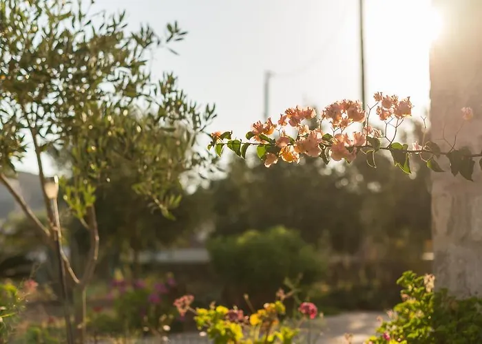 Patmos Netia * 스칼라